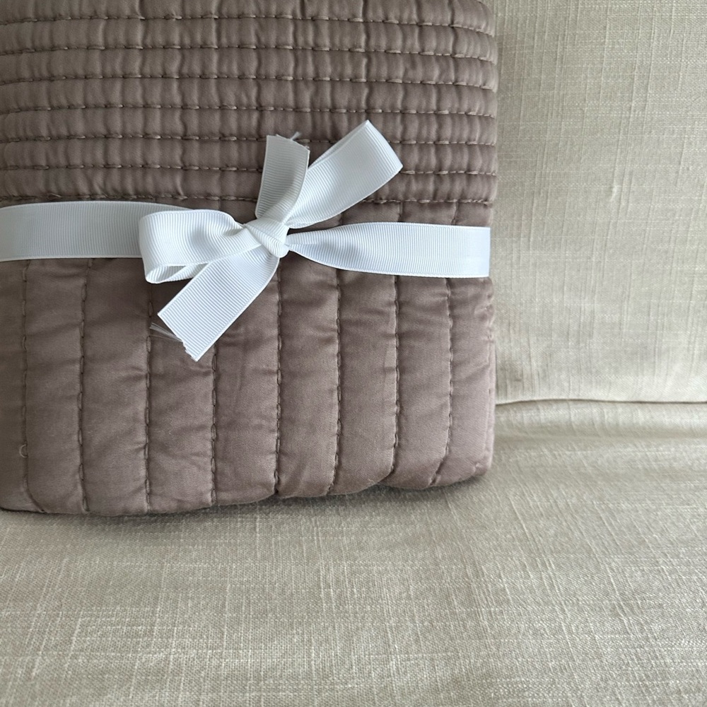 Pottery Barn Euro sham color mauve